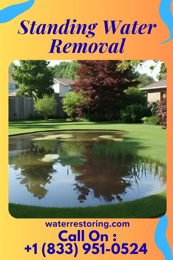 Standing Water Removal in Lebo, KS